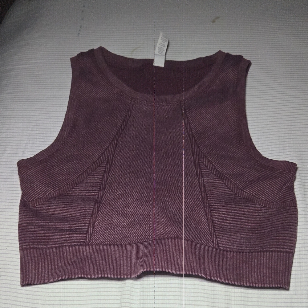 Aerie Plum Tank Top